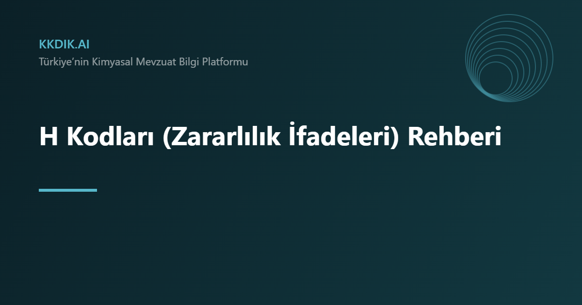 H Kodları — KKDİK bilgi sayfası görseli