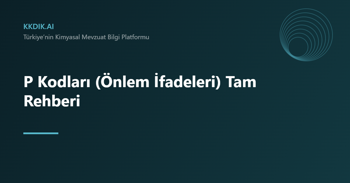 P Kodları — KKDİK bilgi sayfası görseli